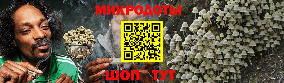 Галлюциногенные грибы Psilocybe Великий Устюг