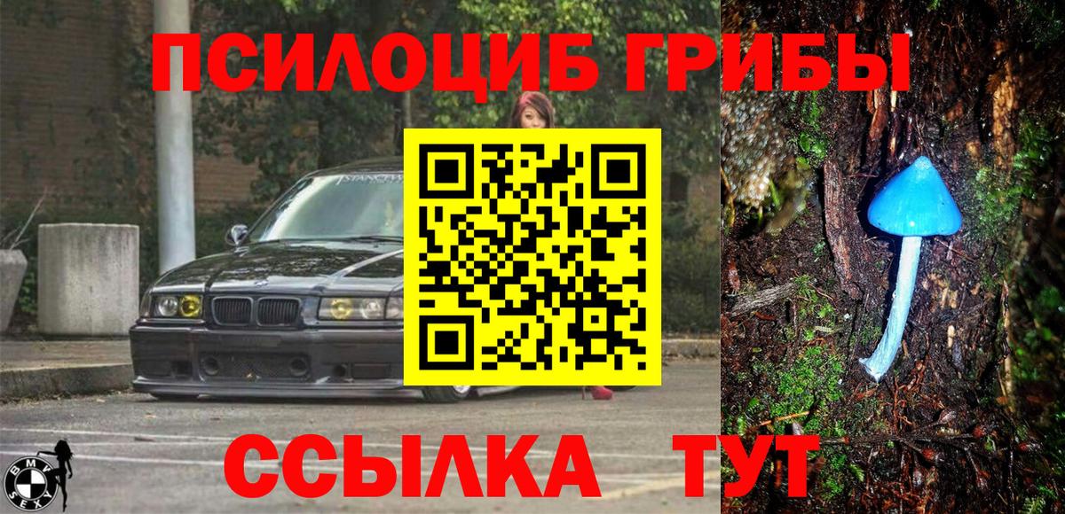 Великий Устюг  Псилоцибиновые грибы мухоморы  Вход с VPN  наркотики  Галлюциногенные грибы GOLDEN TEACHER 